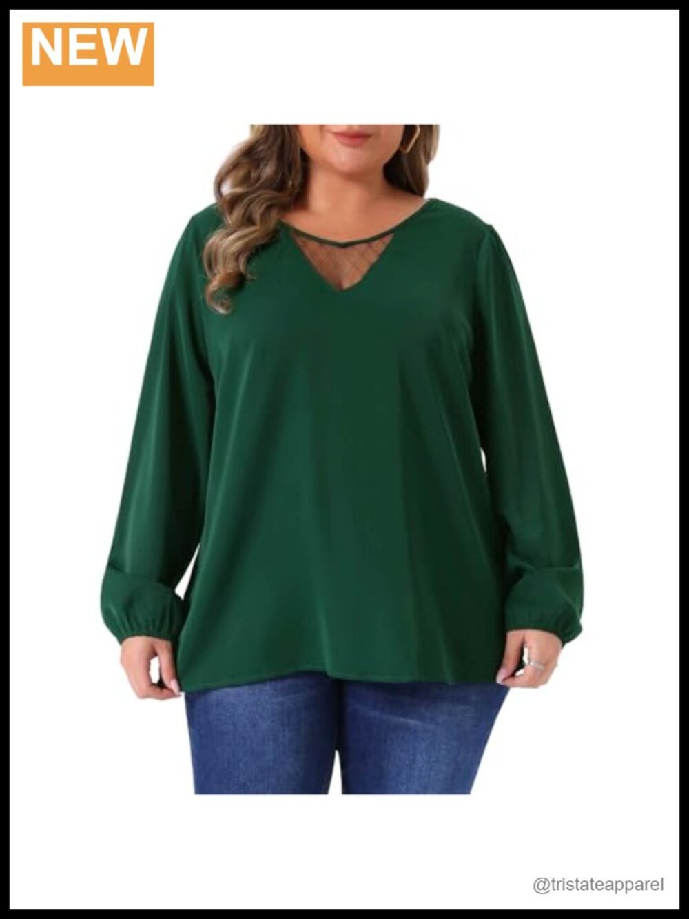 Plus Size V-Neck Lace Long Sleeve Blouse Womens Chiffon Work Top